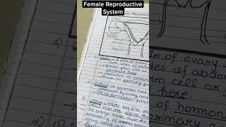 NOTES-FEMALE REPRODUCTIVE SYSTEM 