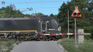 Železniški prehod Postojna-Stara vas SLO - 3.8.2024  Železniční přejezd  Railroad crossing