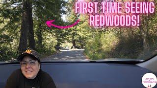 First Time Flying Southwest Las Vegas to Oakland CA  Exploring Redwood Parks & Local Eats