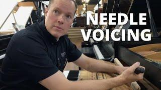 BLP Shop Training Needle Voicing Piano Hammers for Improved Tone