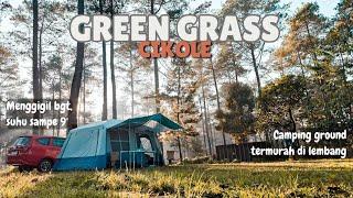 GREEN GRASS CIKOLE LEMBANG  CAMPING DI HUTAN PINUS