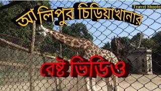 Alipur chiriakhana  আলিপুর চিড়িয়াখানা   kolkata alipur zoo video