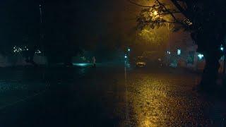 Enjoy ASMR Sound of Night Rain Walk  Rain Sound for Instant Sleep and Stress Relief