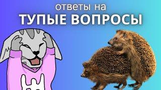 ВОПРОСЫ НА КОТОРЫЕ НЕ ОТВЕЧАЮТ НОРМАЛЬНЫЕ БЛОГГЕРЫ