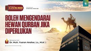 Boleh Mengendarai Hewan Qurban Jika Diperlukan  Ust. Dr. Muhammad Yusran Anshar Lc. M.A.