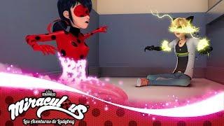 MIRACULOUS   OBLIVIO   Las Aventuras de Ladybug