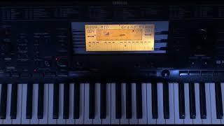 Yamaha PSR-630- Aqua-Candyman