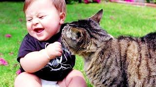 Cutest Babies Play With Dogs And Cats Compilation  Cool Peachy