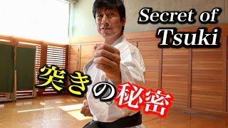 【Karate】Secret of The Invisible Punch  知りたい？中達也の「見えない突き」の秘密