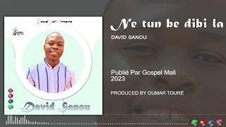 David Sanou - Ne tu be dibi la Audio Officielle