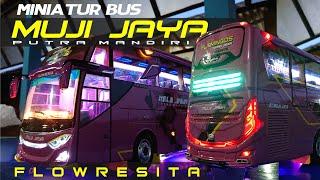 KEREN  MINIATUR BUS MUJI JAYA PUTERA MANDIRI - FLOWRESITA - 3RD GENERATION