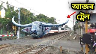 এমন ট্রেন দেখতে ভাগ্য থাকা দরকার  most amazing train in the world