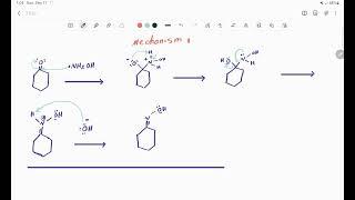 cyclohexanone oxime synthesis mechanism #chemicalreaction