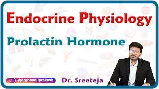 Prolactin Hormone  Endocrine Physiology USMLE Step 1