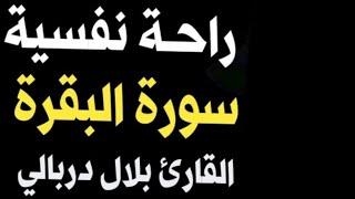 سورة البقرة  القارئ بلال دربالي️صوت هادئ ومريح جدا جدا تلاوة هادئة للنوم والراحة النفسية 