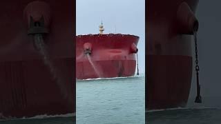 400m long container ship Vs 300m long Bulk Carrier #sailing #cargoship #anchor