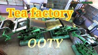 Ooty Tea Factory   Ooty tea gardens  ooty factory museum complete tour