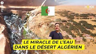 Algérie  le miracle de leau dans le désert algérien avec la foggora - Un Monde à part