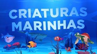 Animais marinhos para crianças  Desenhos animados educativos  Habitantes dos mares e oceanos