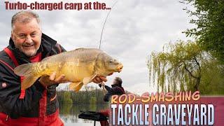 The carp couldnt break this rod