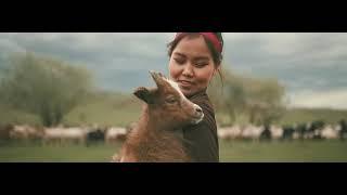 The Wedding Cinematic of ULZII & HERLEN - Beautiful Mongolian nature