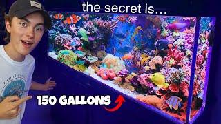 He Does WHAT??? The SECRET to This 150G SALTWATER REEF AQUARIUM