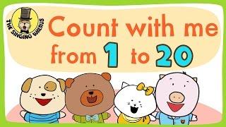 Number song 1-20 for children  Counting numbers  The Singing Walrus