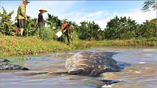 Terrified to discover a giant python monster attacking people in the swamp. - anaconda.