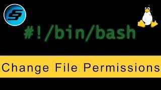 Change File Permissions chmod - Bash Scripting