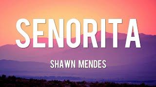 Señorita - Shawn Mendes Lyrics  Ed Sheeran One Direction Ali Gatie