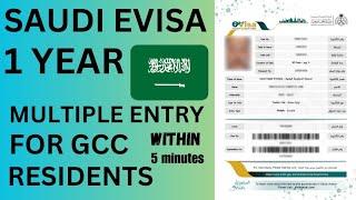 SAUDI 1 YEAR MULTIPLE ENTRY EVISA HOW TO APPLY ALL DETAILS