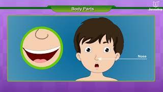 Learn Body Parts For Kids  EVS  Grade 1  New Spark  Periwinkle