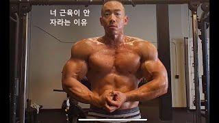 너 근육이 안자라는 이유  Danny Joe Fitness