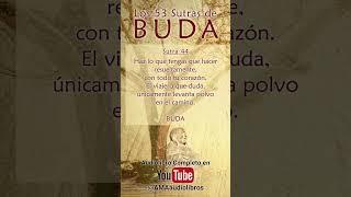 Buda - Sutra 44 Del Audiolibro Los 53 Sutras de Buda #audiolibro #buda #budismo #espiritualidad