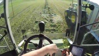 Claas Jaguar 860 Grashäckseln Cabview POV Lohnunternehmen Rutz