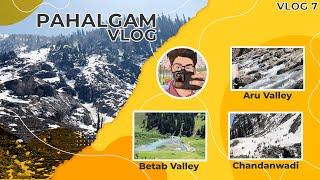 Pahalgam - Kashmir 2022  Aru Valley  Betab Valley  Chandanwadi  Full Snow In Pahalgam  VLOG 7