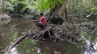 MANCING DI HUTAN ANGKER YANG DI HUNI RIBUAN IKAN MONSTER..