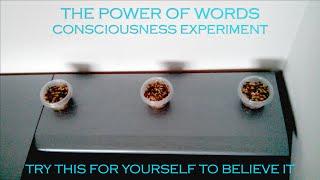 POWER OF WORDS  Try This Experiment Yourself and Know The Truth