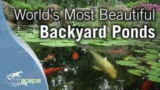 Worlds Most Beautiful Backyard Ponds