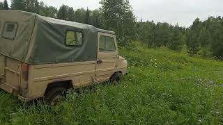 Фацелия  распускается   цветёт . Пчелы на ней ...... одна по одной .