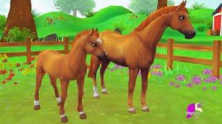 Taking Care of A Mare In Foal  Star Stable Online Horse App Video