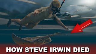 Steve Irwin Death Video Footage Recreation