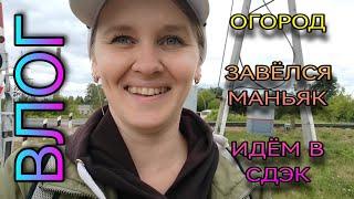 ВЛОГ. Завёлся маньяк зажирели помидоры в огороде всё растёт и мн. др.