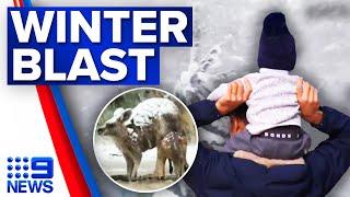 Polar blast and snow hitting eastern Australia  9 News Australia