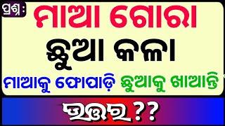 Odia Dhaga Dhamali IAS Questions  Clever Q & Ans  Odia Dhaga katha  Odia Gk Odisha Education 360