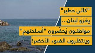 كائن خطير يغزو لبنان... مواطنون يُحضّرون أسلحتهم وينتظرون الضوء الأخضر