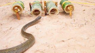 Creative DIY Snake Trap Make From Bamboo - Easy Make A Snake Trap