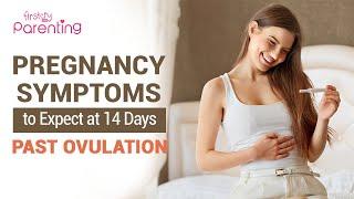 14 Days Past Ovulation  Pregnancy Symptoms