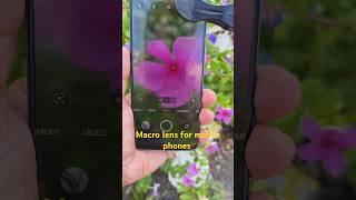 macro lens for mobile smart phones apexel lens #shorts #apple #photography