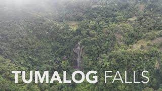 Discover Tumalog Falls  Magnificent Waterfalls in Oslob Cebu  Suroy.ph